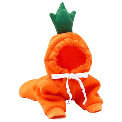 PXW Luxe Plush Pet Wear – Autumn & Winter